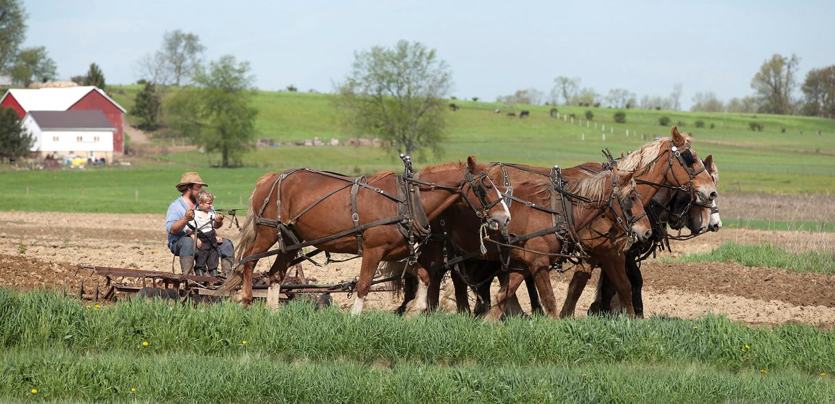 God Made a Farmer - The Quest Project